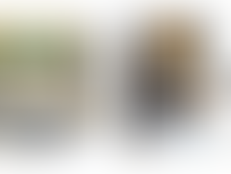 Descubre la galaxia de The Mandalorian
con los nuevos juguetes de Hasbro y haz
feliz a tu niño