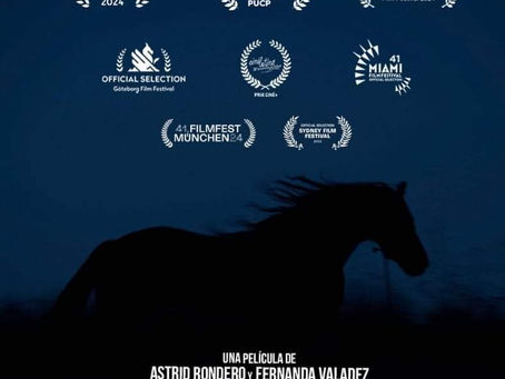Entrevista con la actriz Karla Garrido, acerca de la película "Sujo".