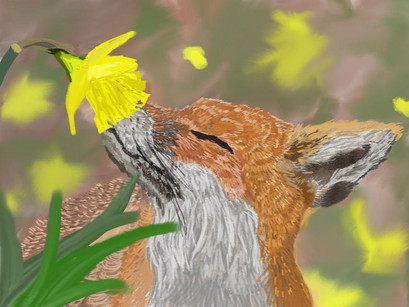 Fox Sniffling Flower