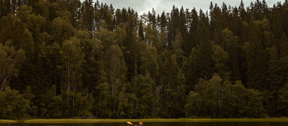 Flottfärd längs med Klarälven.
