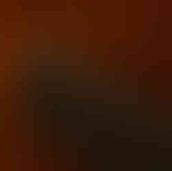 En liten brun bok med guldtext 