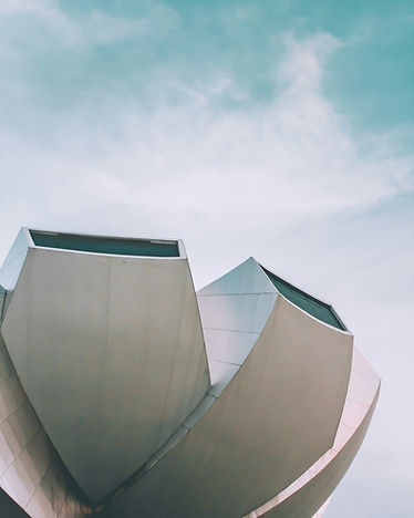 victor-LfdSq_J9QOY-unsplash.jpg