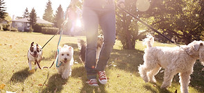 Top 10 save planet action avoid pets
