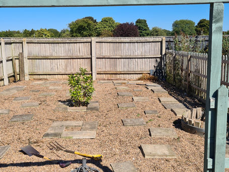 Oasis Academy Wintringham create Peace Garden to improve welfare and mental health