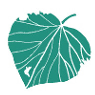 Parents for Climate Aotearoa logo