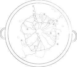 Disegno preparatore per il piatto