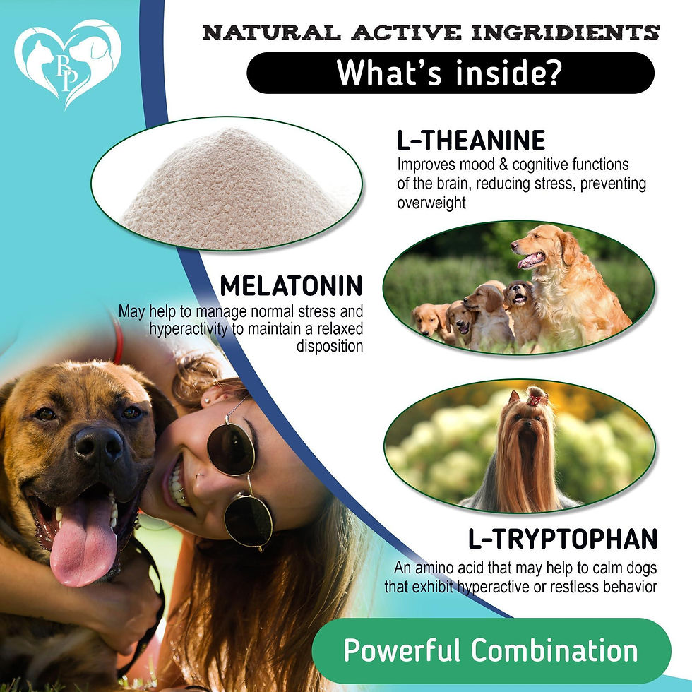Thumbnail: Hemp Calming Chews for Dogs Puppy Pet Separation Anxiety Relief Treats for Dog
