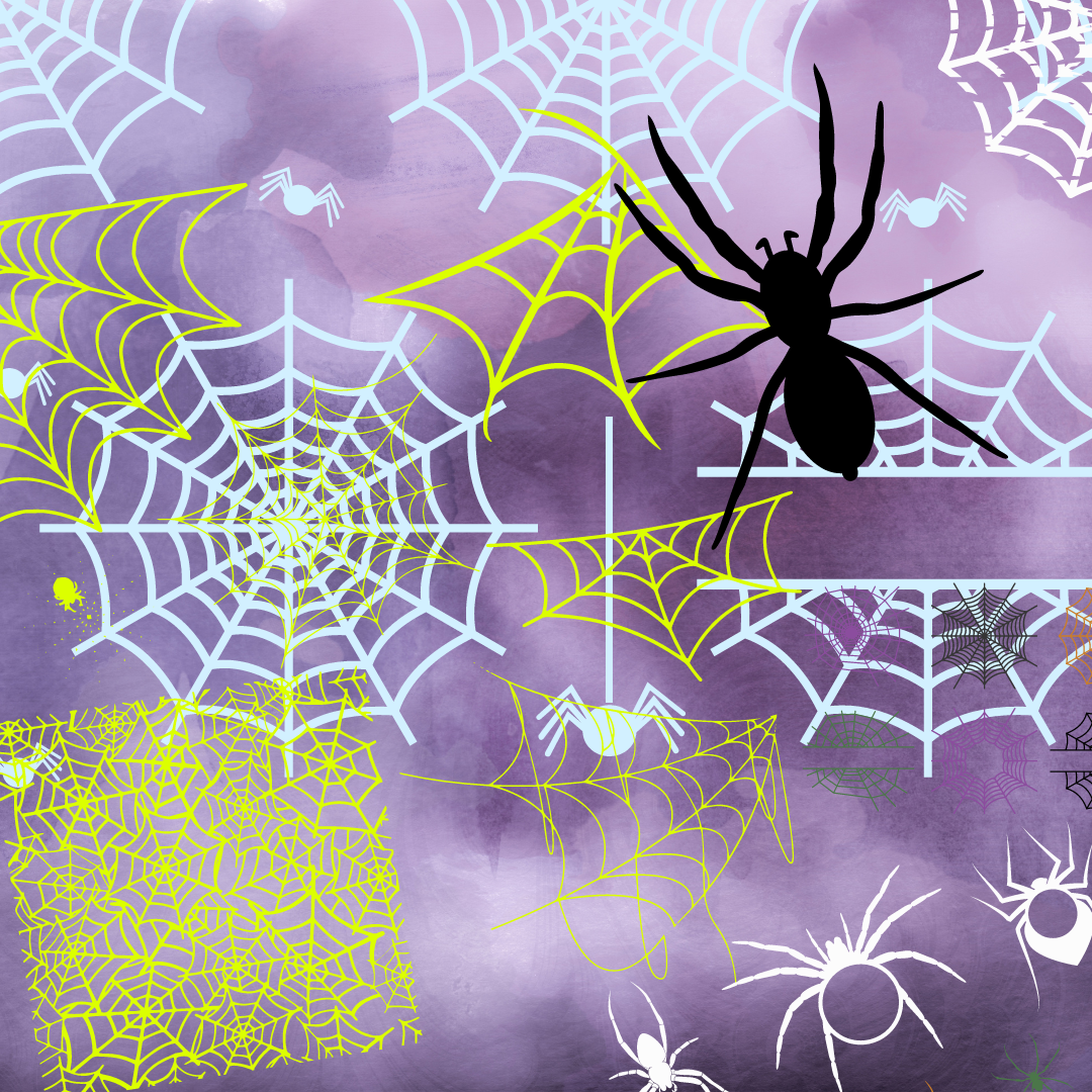 Spiders & Webs SVG Bundle