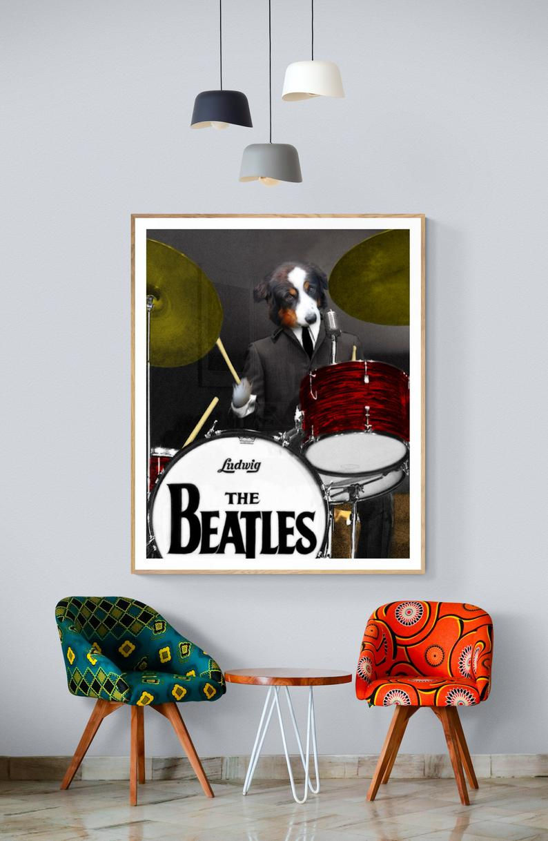 Thumbnail: Bernese Mountain Dog - Ringo Woof