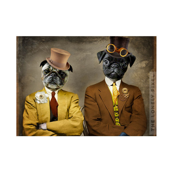 Thumbnail: Pugs - Steampug