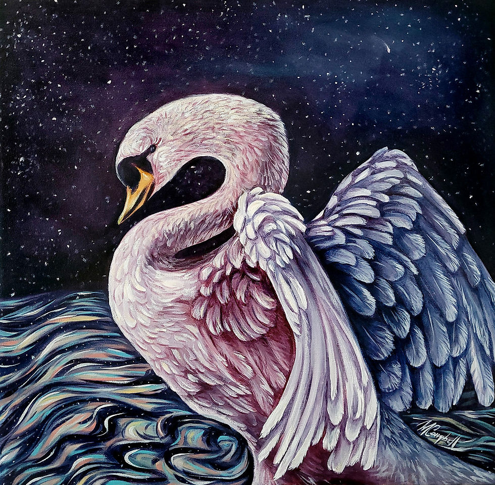 Cygne de séduction II