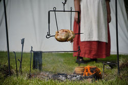 Musgrove Mill - Revolutionary Era Reenactment