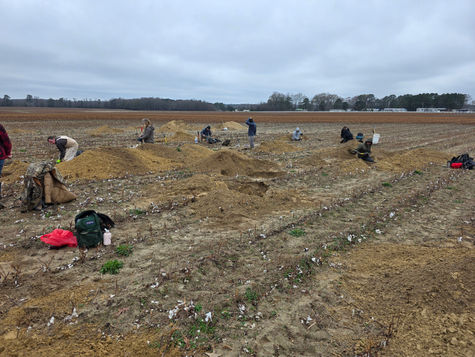 DIGSTOCK NATIVE PIT DIG Cold Dirt. Ancient History. Unforgettable Memories.