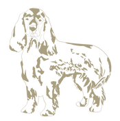 Wellness Vet Logo