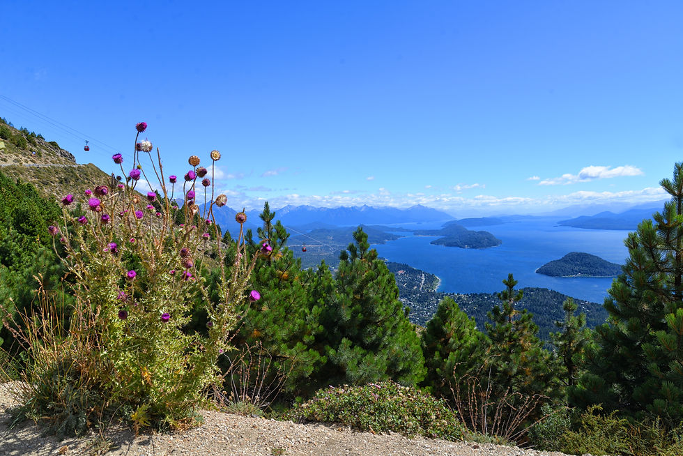 Nahuel Huapi Lake.jpg