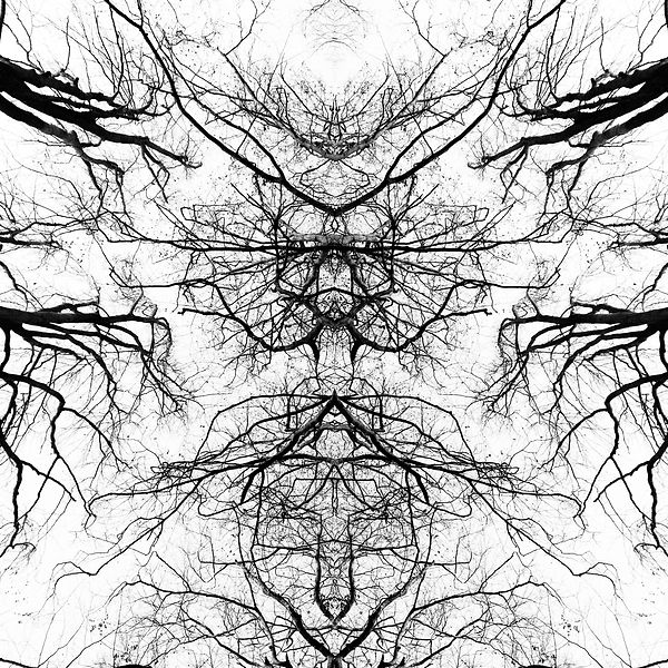 5428C35B-6CDB-4571-A74C-4D5571626F73.jpeg