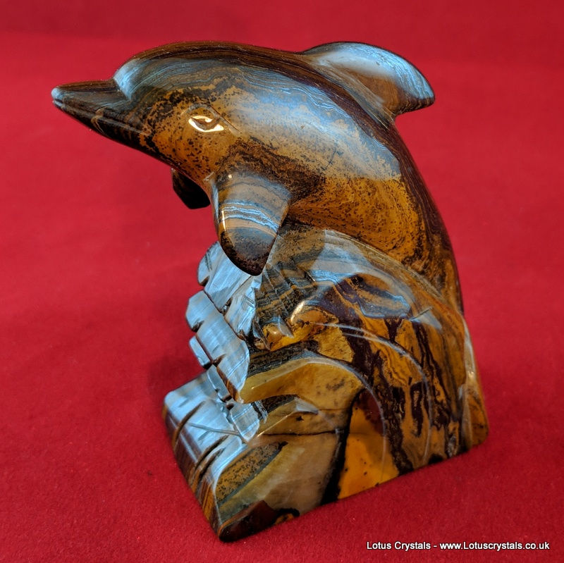 Thumbnail: Tiger Eye Dolphin