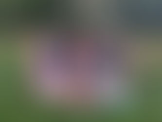 Schulabschlussfest der Volksschule Zillingdorf