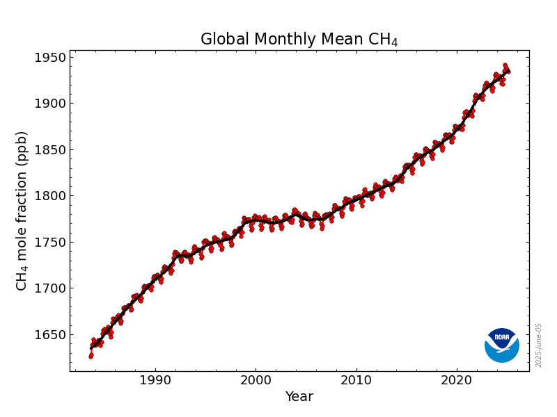 Global methane concentrations continue to rise (as measured from a globally-distributed network of air sampling sites).