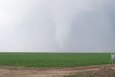 The Ensign Tornado