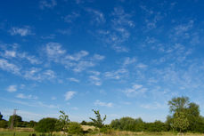 Dappled Sky