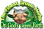 GreenEarthNew-min.png