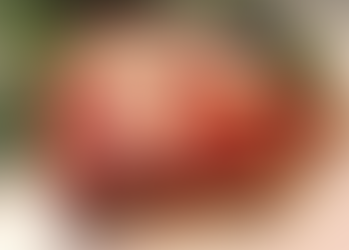 ANN'S GREEK STUFFED ZUCCHINIS