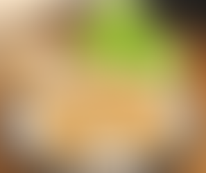 APPLE-PEANUT BUTTER OAT COOKIES