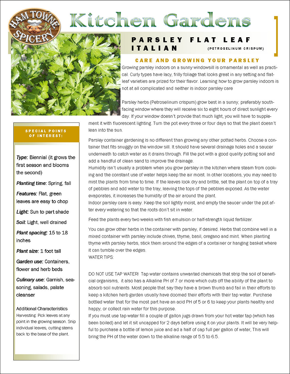 PARSLEY