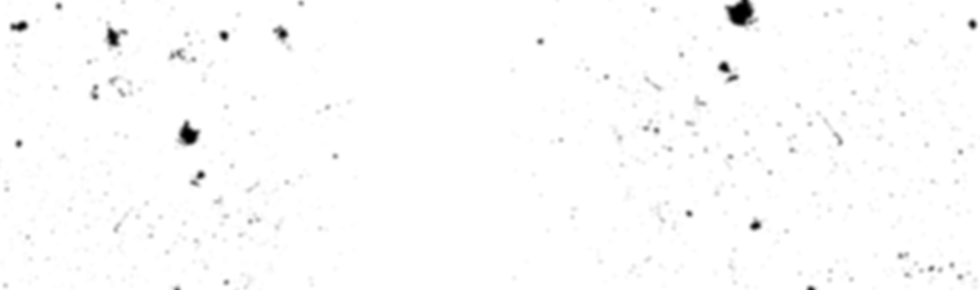 Copia de Copia de Copia de Copia de Dise