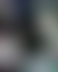 2026 Representative Tryouts