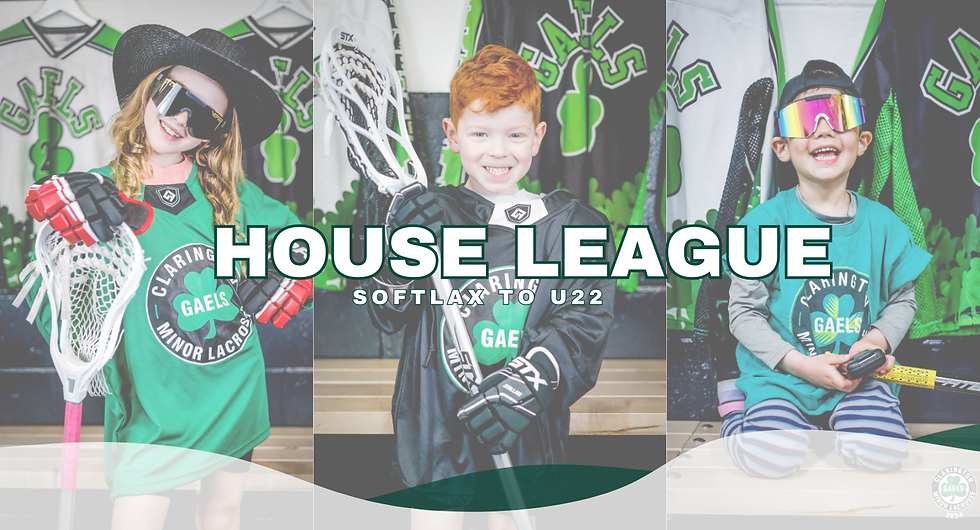 House League Banner.png