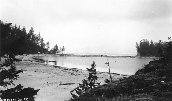 Beach from Bluff.jpg