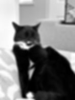 Mature Businesswoman