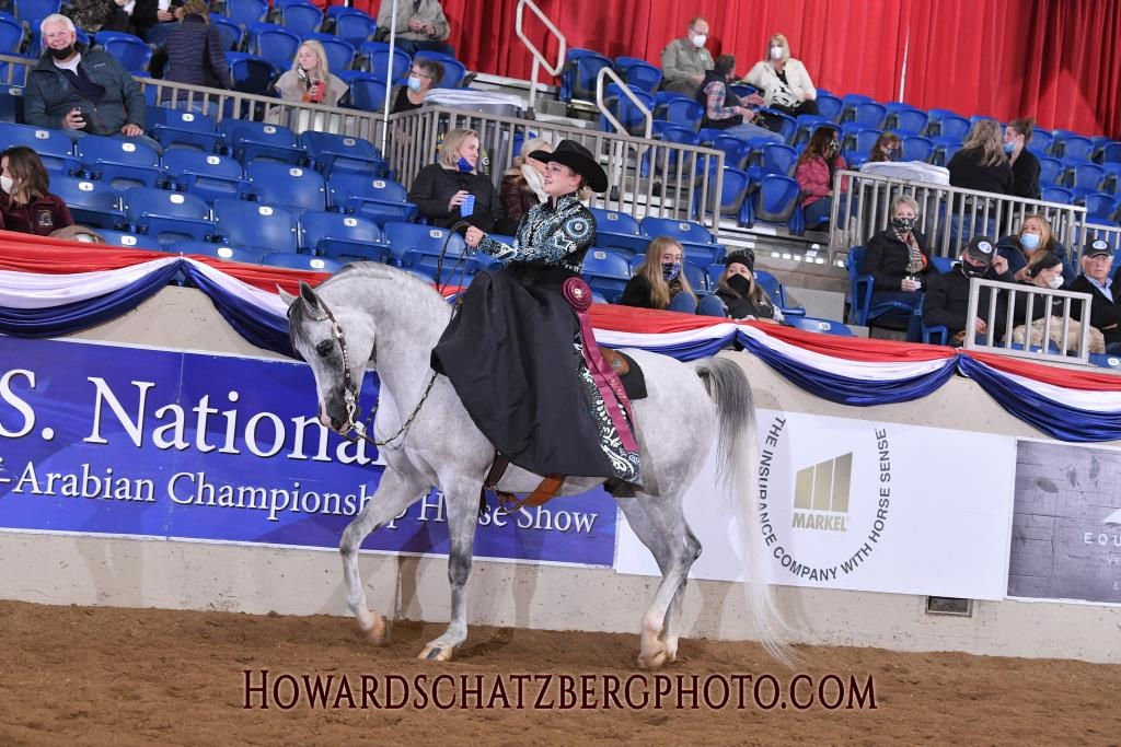 Platinum Performance Horses