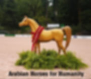 28th horse Goldie.jpg