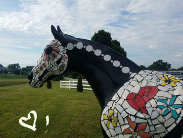 Scenes From 15, Lexington VA