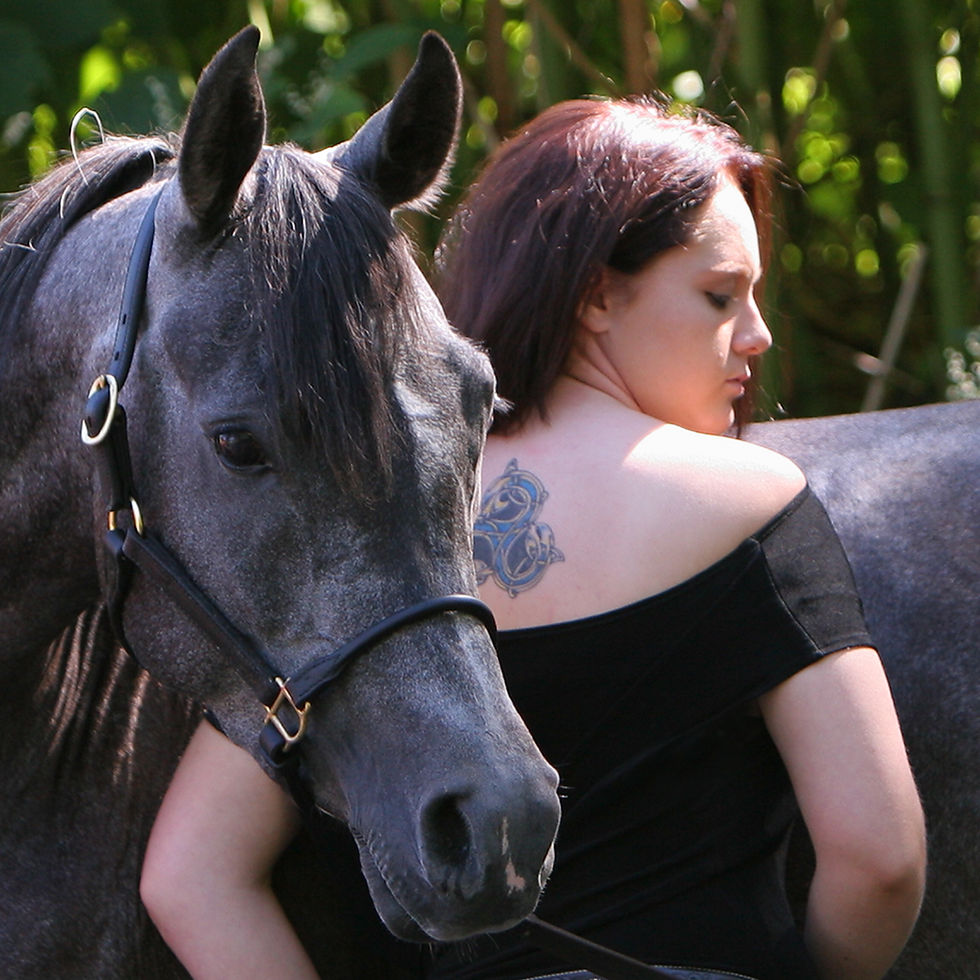 Arabian mare MK Dasha photo by Michael Troxler Ithaca New York