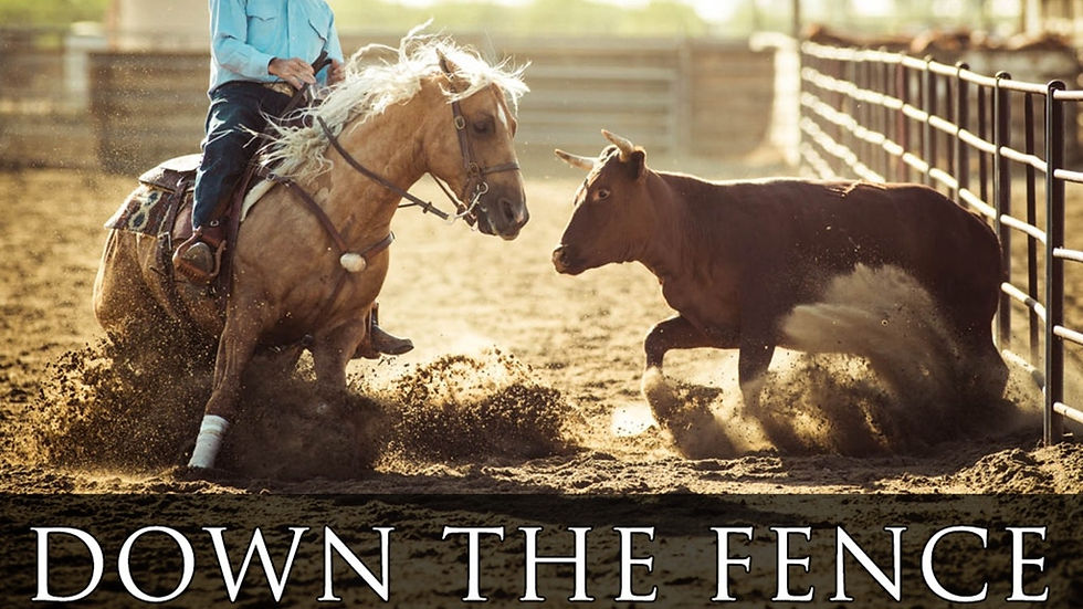 Down the Fence Netflix Original