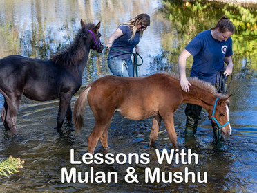 Lessons With Mulan & Mushu