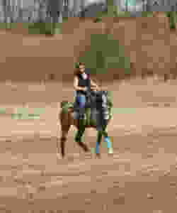 Team Troxler Training/Kathy Troxler and Hero