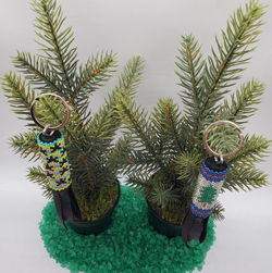 241242626_3668154293287363_4724503013332615598_n