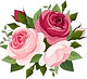Pink and blush and white roses representing flower wall rentals now available in Pittsburgh, PA