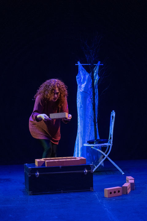 FB bricklift1 small_jpg.jpg