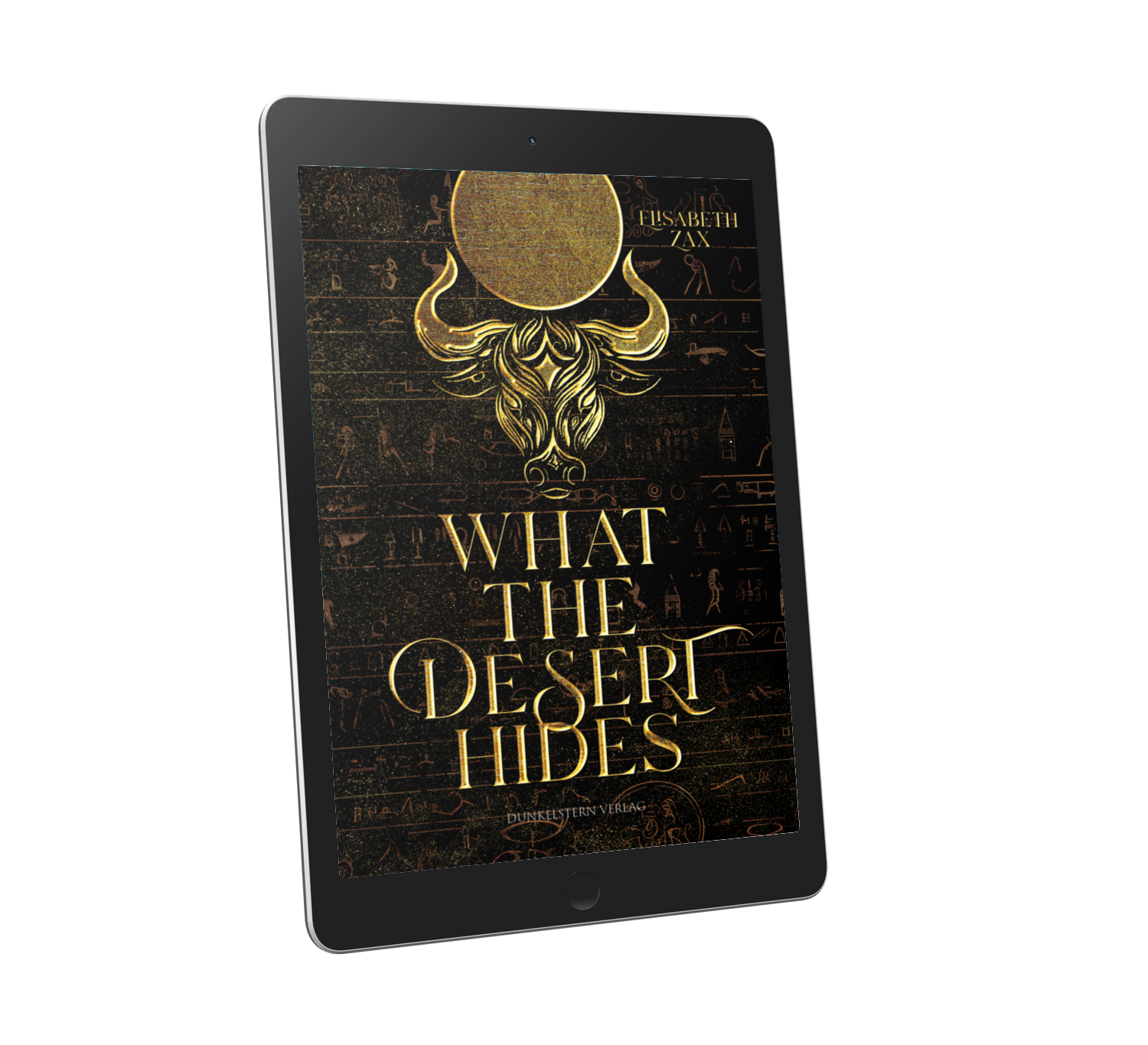 What the desert hides Ebook