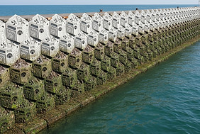 Reef Tiles3.jpg
