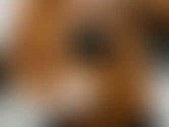 Melken dras gjennom cappuccinoen og lager et hjerte