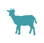 chèvre