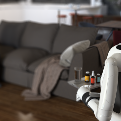 The Rise of the Robotics Butlers