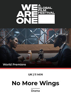 No More Wings.jpeg